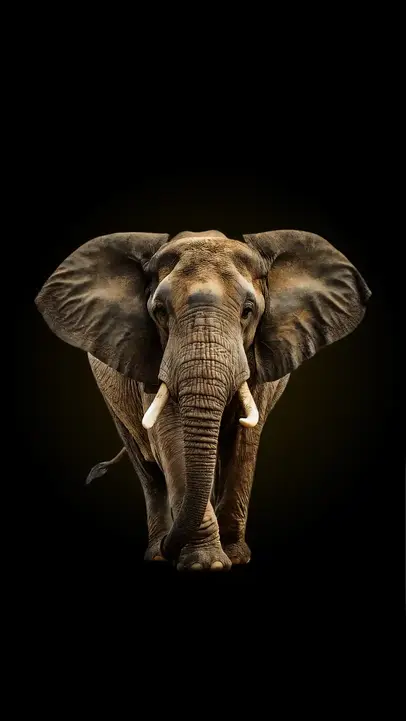 Gajah Sumatera