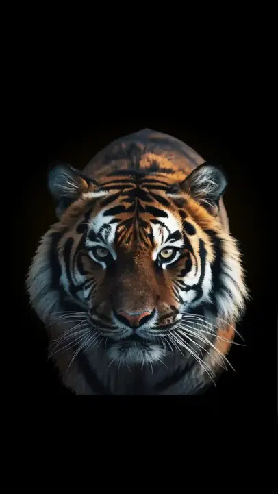Harimau Sumatera